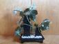 Preview: Bonsai-Skulptur, Weinrebe aus Jade - China -